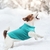 Roupa Pet em Lã Macia e Confortável | Cães na internet