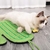 Brinquedo Arranhador Modelos Divertidos | Gatos na internet