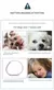 Coleira extensível de pulgas de cachorro, colar antiparasitário, anti-pulgas e - comprar online