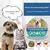 Coleira extensível de pulgas de cachorro, colar antiparasitário, anti-pulgas e - Pingo Pet Shop - A loja que os pets amam!