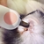 Cortador de Unhas Pet c/ Luz Led - comprar online
