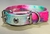 Collar Glam Raza Pequeña Multicolor con Brillo - comprar online