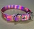 Collar Glam Raza Pequeña Rosa - comprar online