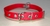 Collar liso N5 - comprar online