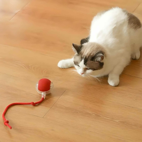 BOLA INTERACTIVA PARA GATOS Y PERROS RECARGABLE