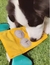 Juguete Interactivo para Perros Diversión y Estimulación Mental