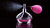 DECANTS