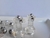 AROS A454