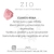 Imagen de DIJE GEMINIS
