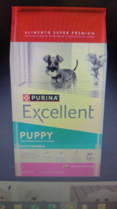 EXCELLENT DOG PUPPY SB X 3 KGS
