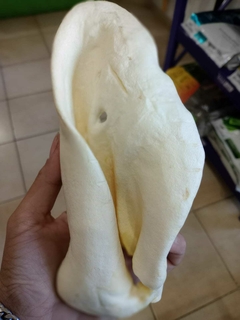 OREJA DE CERDO
