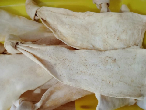 CORBATA GDE MASTICABLE