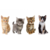 ALIMENTO PARA GATOS
