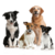 ALIMENTO PARA PERROS