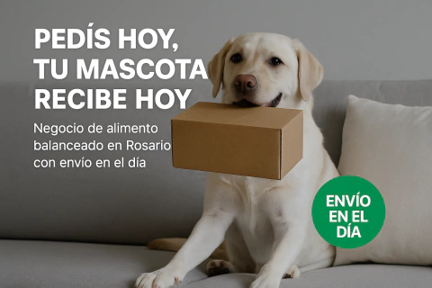 Carrusel Misión Mascota