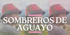 Banner de la categoría Aguayo