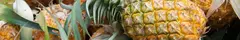 Banner da categoria Pineapple Dyed 