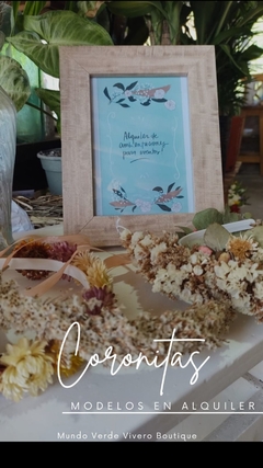 Coronitas - Mundo Verde Vivero Boutique