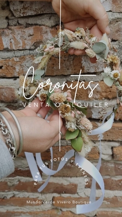 Coronitas
