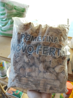 Pometina
