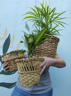 Canastos Maceteros