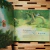 MALENA BALLENA - Hasta La Luna En Cuentos - Libreria Infantil