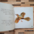 EL PAJARO DE LOS MIL CANTOS - comprar online