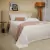 Jogo De Cama Queen Cetim 300 Fios Bege Buddemeyer Bud Colors