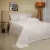 Jogo De Cama Casal Cetim 300 Fios Bege Buddemeyer Bud Colors - comprar online