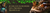 Imagem do banner rotativo Gaiancestral