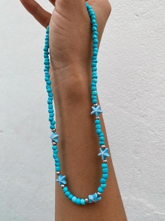 Choker celeste estrellas de mar