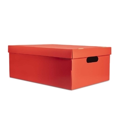 CAJA DE COLOR LISO GRANDE 48X33X18CM - Papelera Maru