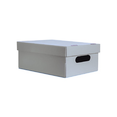 CAJA COLOR LISA CHICA 22X31X13CM DE ALTO - tienda online