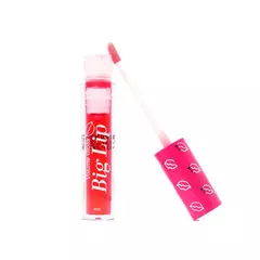 BIG LIP VOLUME GLOSS SUNSET ROSA C/24 - FACE BEAUTIFUL (FB339) na internet