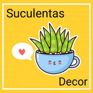 Suculentas Decor