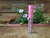 baton líquido mate Melu Ruby Rose cor 01 - comprar online