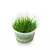 Eleocharis Mínima