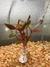 Ludwigia Repens