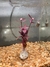 Alternanthera sessilis (Violácea)