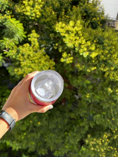 Vaso térmico - comprar online