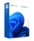 WINDOWS 11 PRO