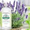 Essência Pronta Para Máquinas Aromatizadoras de Ambiente Digitais Nevoar - Lavanda Inglesa - 1 Litro - comprar online