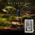 Lady Million Fabulous Paco Rabanne - Perfume Feminino - Eau de Parfum Intense (EDPI) - 8ml [DECANT] - Aurora Decants