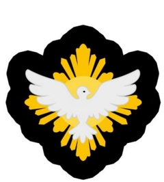 ALMOFADA ESPÍRITO SANTO CÓD.3414