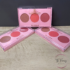 Paleta de Blush Phállebeauty