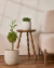 Cachepot em cerâmica off white - comprar online