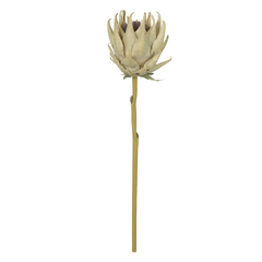 Haste protea EVA palha outono 56cm