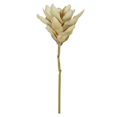 Haste magnólia EVA palha 62cm