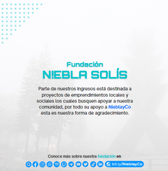 Banner de la categoría Fundación Niebla Solís (NiSo)