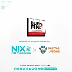 Banner de la categoría Promos NiX Plus